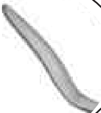 Lamellar Dissector For Keratoplasty
